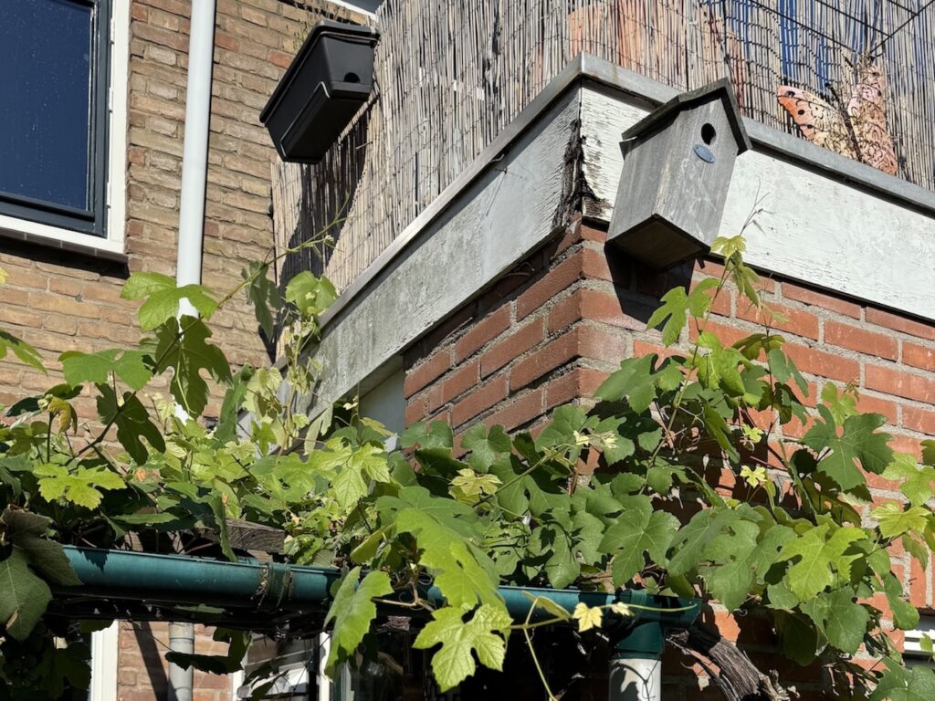 Boeidelen met houtrot vóór herstel bij woning in de regio Lelystad